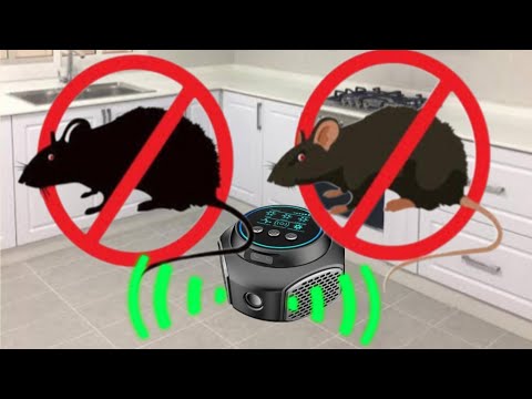 Видео: 🔊 Раздражающий звук отпугивателя крыс! Попробуйте навсегда изгнать мышей из дома и кухни, не поку