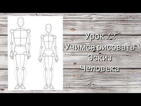 Видео: урок 1️⃣2️⃣ Учимся рисовать человека