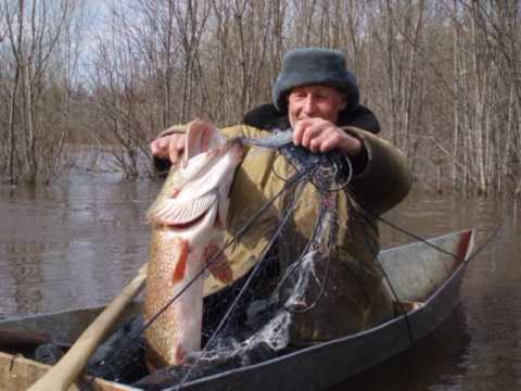 Видео: Моя Катанга