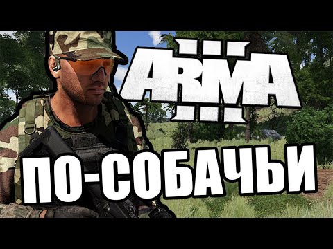 Видео: По-собачьи [Arma 3 PVP Domino]