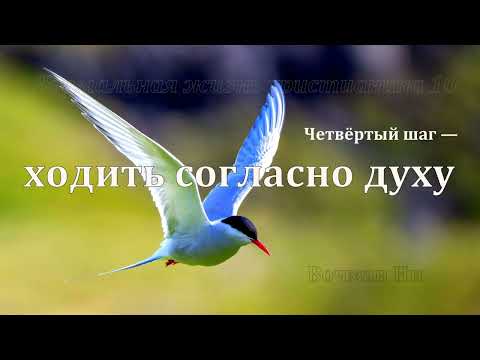 Видео: "Четвёртый шаг — ходить согласно духу" Вочман Ни
