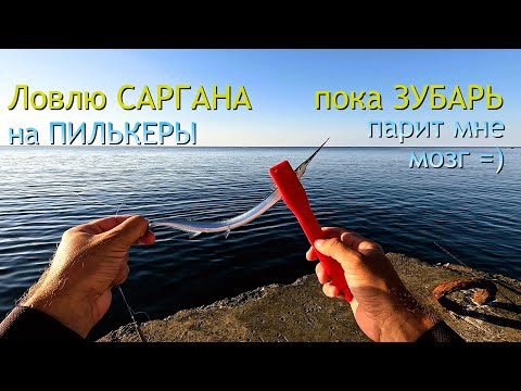 Видео: Ловлю саргана на пилькер с берега. Неуловимый зубарь