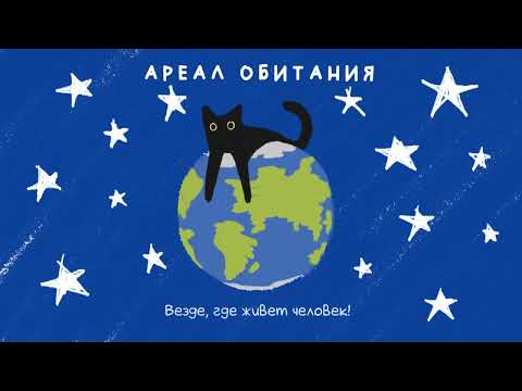 Видео: Мария Камолова "Млекопитающие: Домашняя кошка"