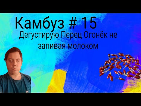 Видео: Камбуз # 15 Дегустирую Перец Огонёк не запивая молоком
