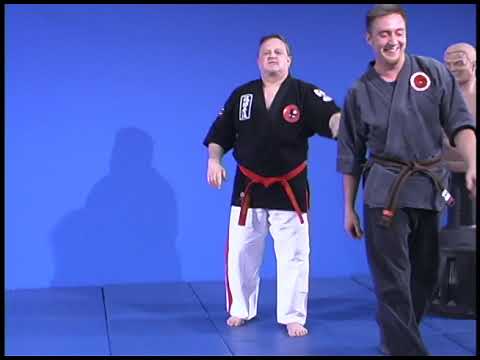 Видео: Семинар Джорджа Диллмана по точкам давления 2