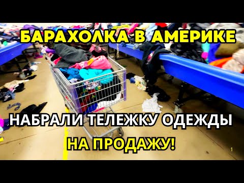 Видео: Бизнес Развивается! Барахолка в США/ Продажи на EBay