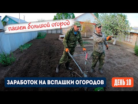 Видео: День 10 | Пашем большой огород. Заработок на вспашке огородов мотоблоком.