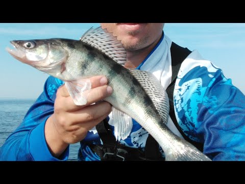 Видео: Рыбалка на горьковском водохранилище! ГОРЕ-МОРЕ!!! Где мои ТРОФЕИ?!