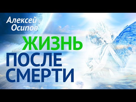 Видео: Как живёт душа ПОСЛЕ СМЕРТИ ? (ТК «Спас», 2017.04.27) — Осипов А.И.