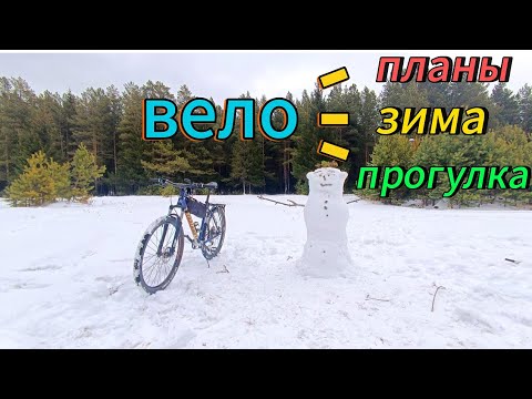 Видео: Велопрогулка по зимнему лесу и немного о планах.