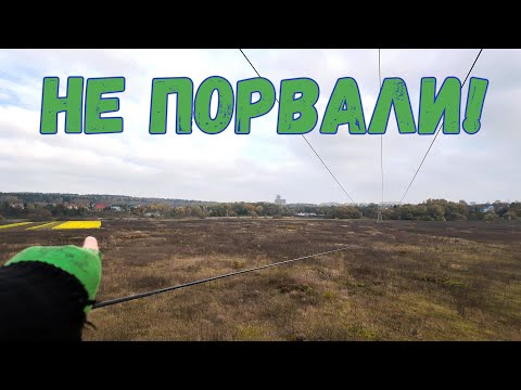 Видео: Не успели порвать.