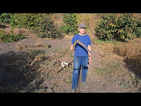 Видео: Плоскорез , природное земледелие.