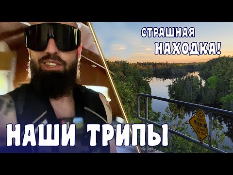 Видео: БАЙКИ У КОСТРА: проклятие Земляничного острова