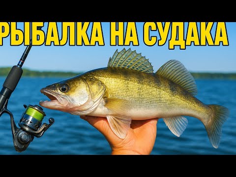 Видео: Рыбалка на судака в Финляндии осенний улов!
