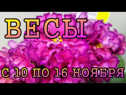 Видео: ВЕСЫ таро прогноз на неделю с 10 по 16 НОЯБРЯ 2025 года