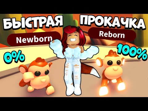 Видео: СЕКРЕТЫ и ЛАЙФХАКИ Как БЫСТРО ПРОКАЧАТЬ ПИТОМЦА в Адопт Ми! Adopt Me Roblox