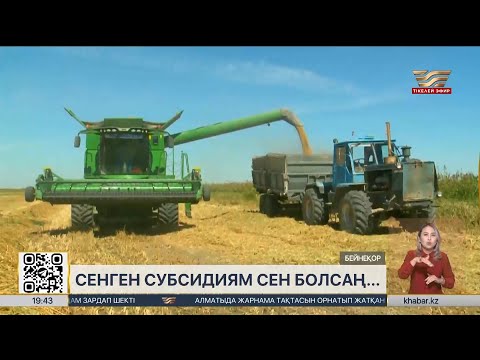 Видео: Субсидия беру қалай шешіледі?