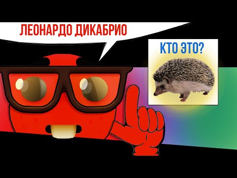 Видео: БЛС ОТВЕЧАЕТ НА ВСЕ ВОПРОСЫ МИРА | НАРЕЗКА СТРИМА Bez_LS