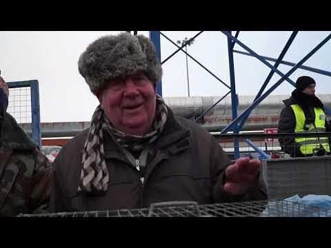 Видео: БОЛЬШАЯ ВЕСЕННЯЯ Сборная Ярмарка Голубей. МОСКВА 04 03 23 часть 2