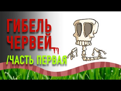 Видео: Одна из причин гибели червей.
