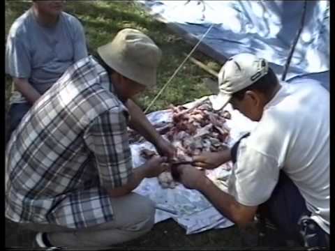 Видео: Ахвахский район