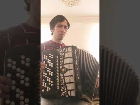 Видео: Сравнение Баянов Weltmeister Grandina и Орфей