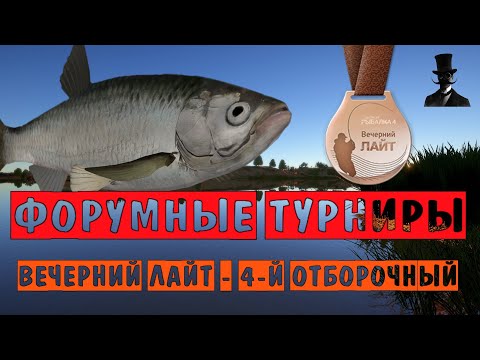 Видео: Шемая черноморская и каспийская. Вечерний Лайт - 4-й отборочный. Русская Рыбалка 4.