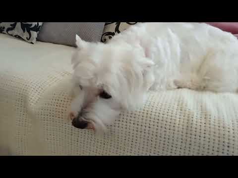 Видео: Создаем уют в доме  и  освежаем интерьер простыми способами.