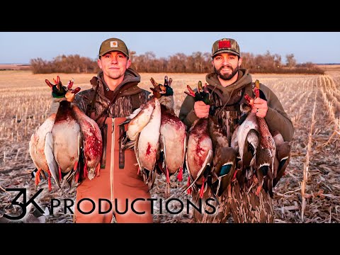 Видео: КРЯВЫ В КУКУРУЗЕ | КОМАНДА C ВЫХОДИТ НА ПЕРВЫЙ ПУТЬ