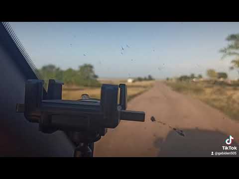 Видео: роза люксембург 24 08 2021