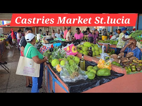 Видео: Суббота на рынке Кастри – истории, культура и наследие