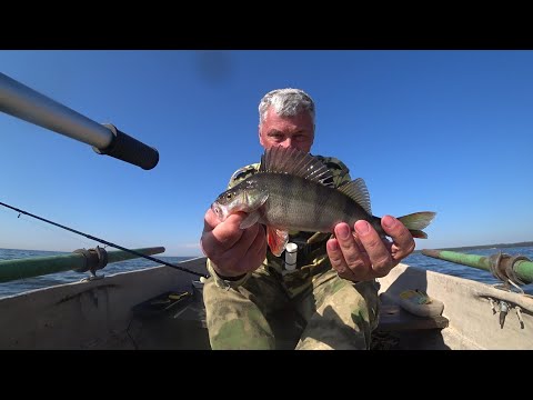 Видео: Ловля окуня на финском заливе 07.09.25.