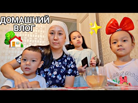Видео: ДОМАШНИЙ ВЛОГ 🏡📽/ПЫСЫҚ МАМА БОЛДЫМ 😅🍕🥟🪣🧼#vlog
