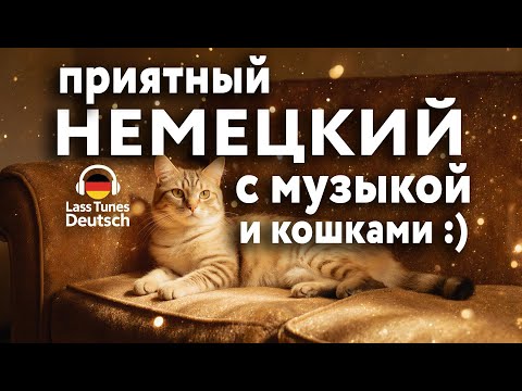 Видео: Легко и приятно учим немецкий с котиками 😺 #немецкий #немецкийязык #Deutsch #Deutschlernen