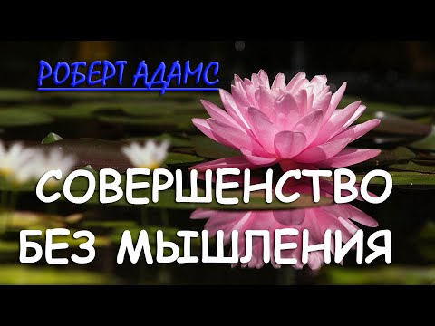 Видео: СУЩЕСТВОВАНИЕ БЕЗ МЫШЛЕНИЯ ??!  [Роберт Адамс, 24]