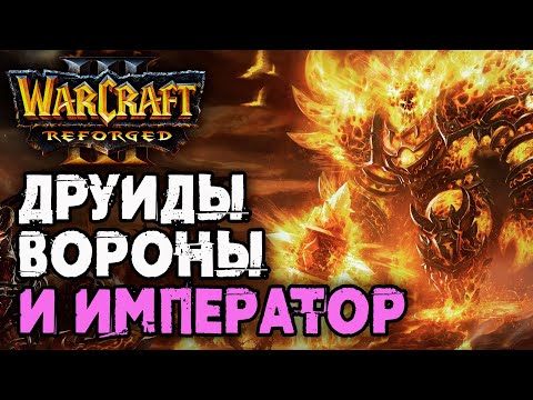 Видео: ДРУИДЫ ВОРОНЫ И ИМПЕРАТОР: Happy (UD) vs TGW (NE) Warcraft 3 Reforged