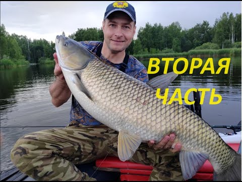 Видео: Ловля трофейного белого амура на поплавочную удочку с лодки на Десногорском водохранилище.  часть№2