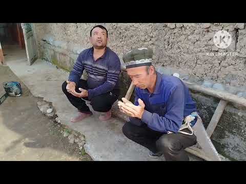 Видео: ШЕРКУЗИ АКАНИ МАХОРАТИ