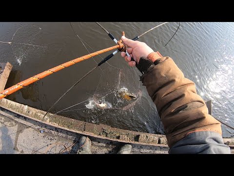 Видео: СЧИТАННЫЕ МИНУТЫ и ПОЛНАЯ ВАННА РЫБЫ!!! ЭТО ЛУЧШАЯ РЫБАЛКА НА ПАУК В ЭТОМ СЕЗОНЕ...