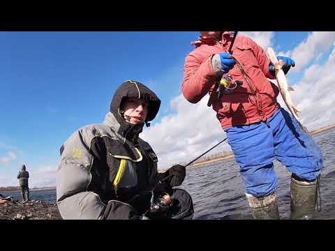Видео: Активный клев рыбы. Щука сошла с ума. Река Ока. Evergreen poseidon 84T.