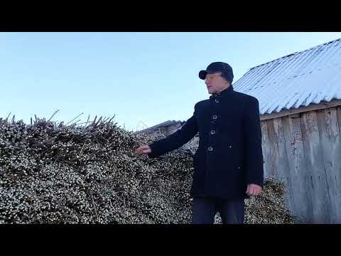 Видео: ИВА-ПАРК. Сортировка прута. Часть 4. Работа закончена, прут отправлен на хранение.