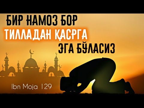 Видео: Ибн можа сунани шарҳи: 129-дарс: Зуҳо намози? Истихора намози? Ҳожат намози? Шайх Абдуллоҳ Зуфар