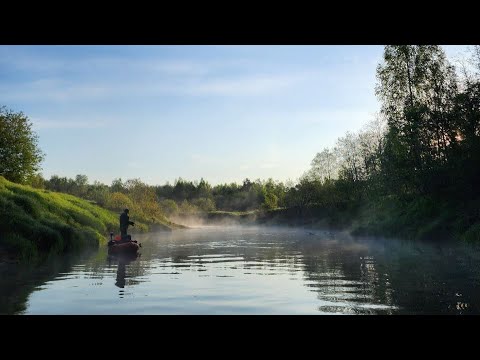 Видео: СПЛАВ ПО СКАЗОЧНОЙ  "НАРНИИ" в поисках заветного Чапло 🛶