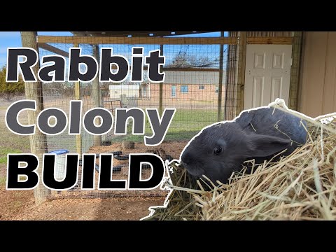 Видео: Как построить загон для колонии кроликов | Плюс козлята и беременные козлята
