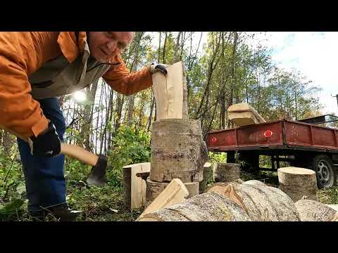 Видео: Вывожу из леса на мотоблоке МТЗ-09Н сломанную осину.