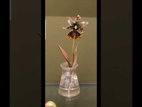 Видео: Французские стили рубеж XIX-XX вв. Рассказывает Виктория Петрова. Прямые эфиры Эрмитажа.