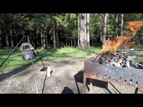 Видео: РЫБАЛКА в глуши. РЫБА КЛЮЁТ, но БОБРЫ не рады.