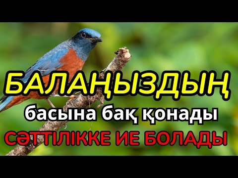Видео: БАЛАҢДЫ БАРЛЫҚ ЖАМАНДЫҚТАН САҚТА! Бұл Дұға Балаңның Жолын Ашып, Әрқашан Жолы Болғыш Етеді!