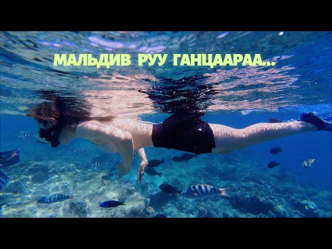 Видео: Ганцаараа Мальдив руу аялсан нь✈️🌴 | Maldives Solo Trip mini Vlog 🇲🇻