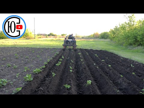 Видео: ТЕСТУЄМО НОВИЙ КУЛЬТИВАТОР - 2 !!! Підгортання картоплі!